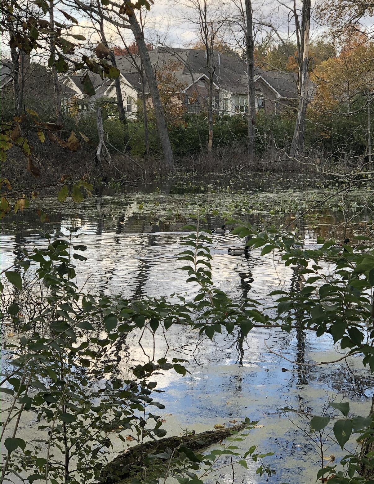 862 Brendle Trace, Springfield, Ohio 45503