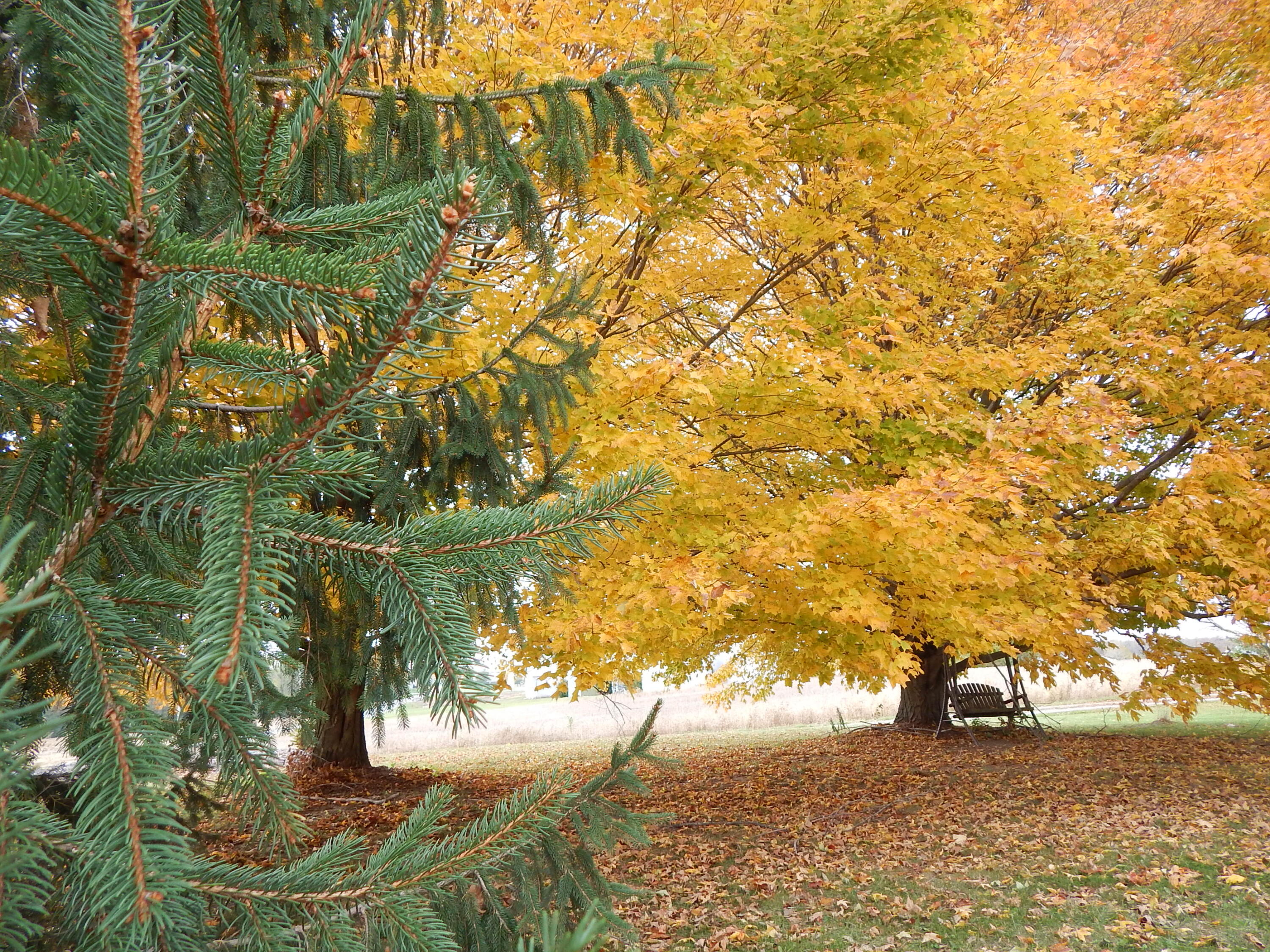 22275 Buckland Holden Road, Wapakoneta, Ohio 45895