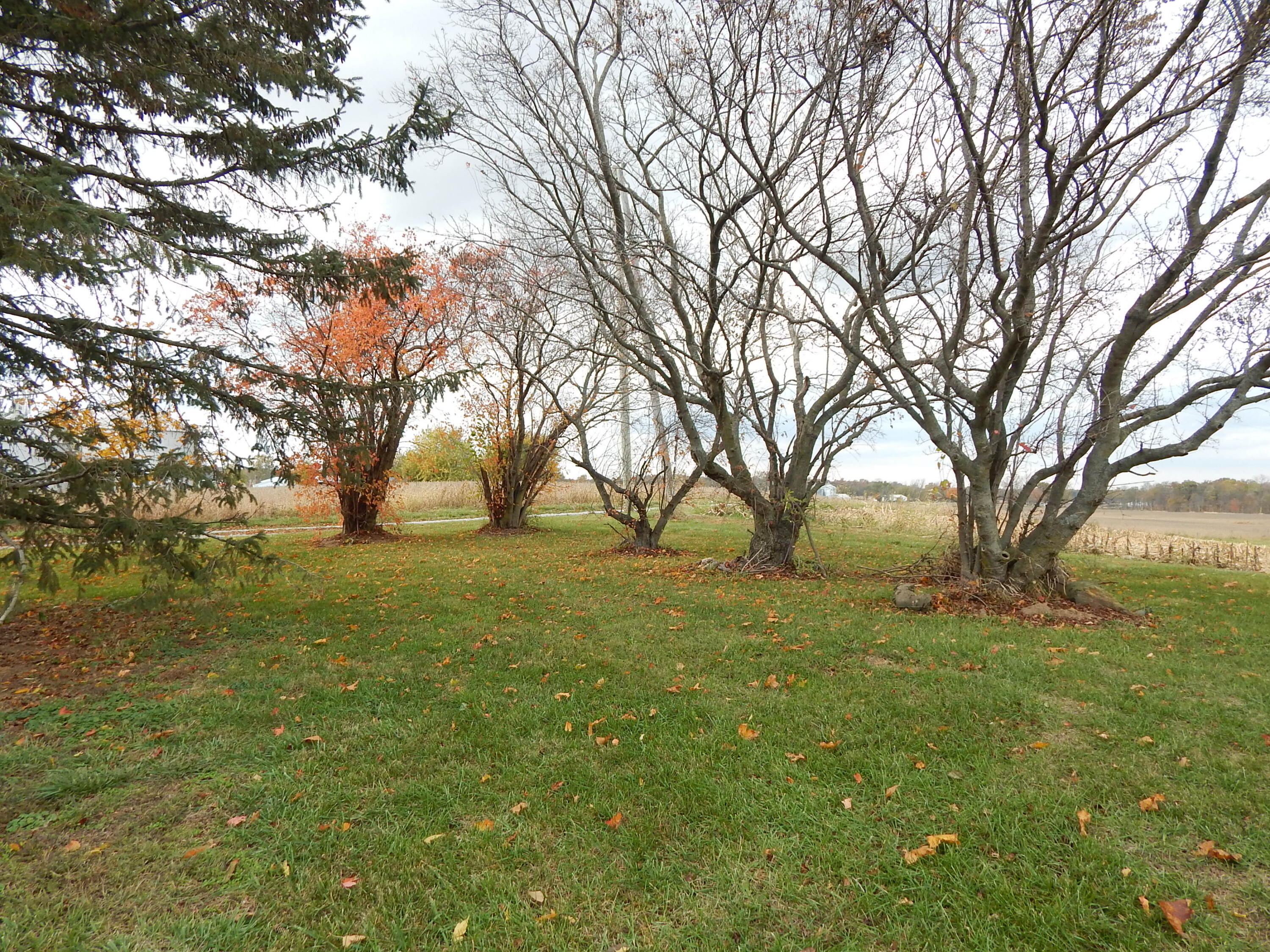 22275 Buckland Holden Road, Wapakoneta, Ohio 45895