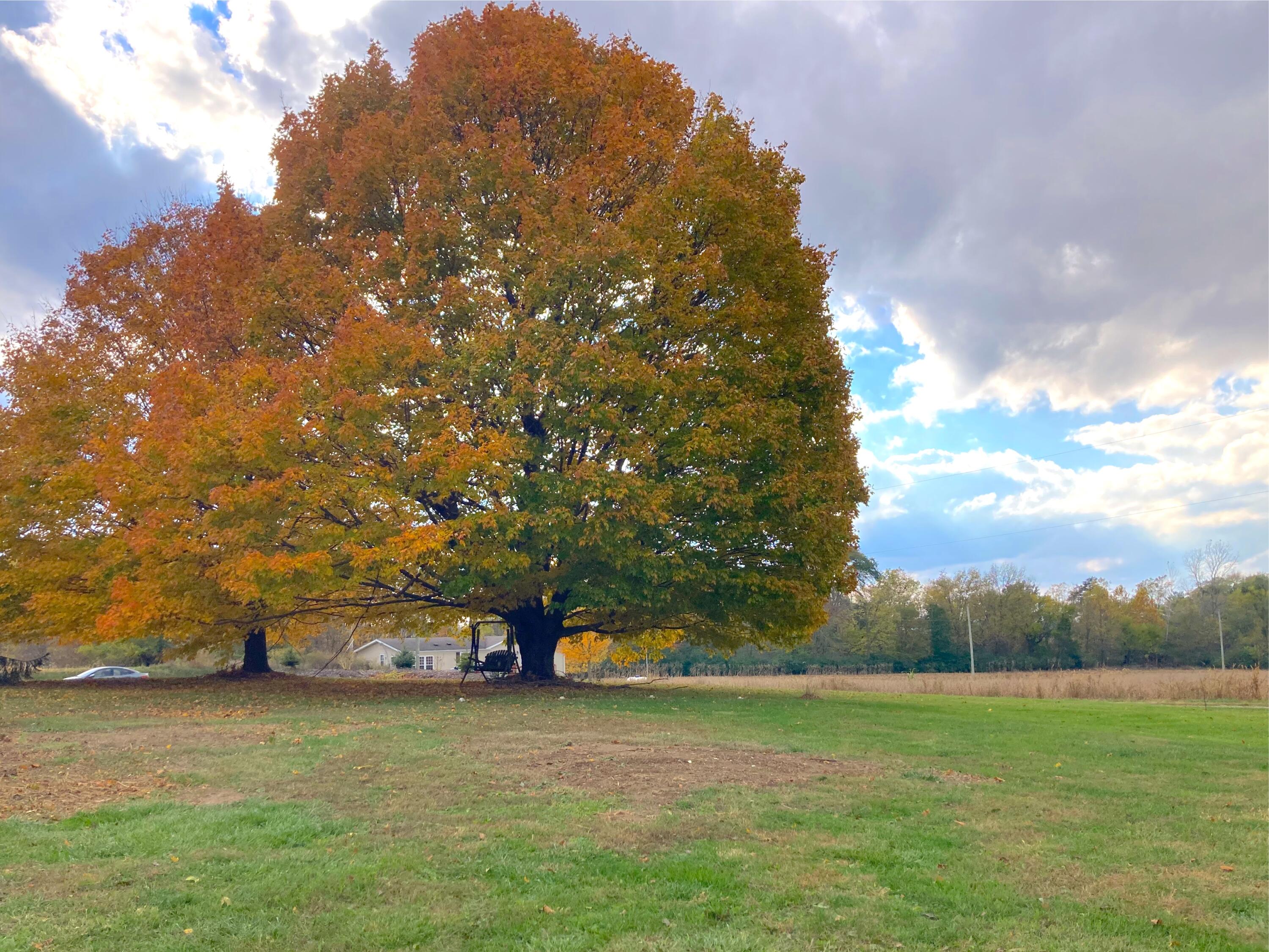 22275 Buckland Holden Road, Wapakoneta, Ohio 45895