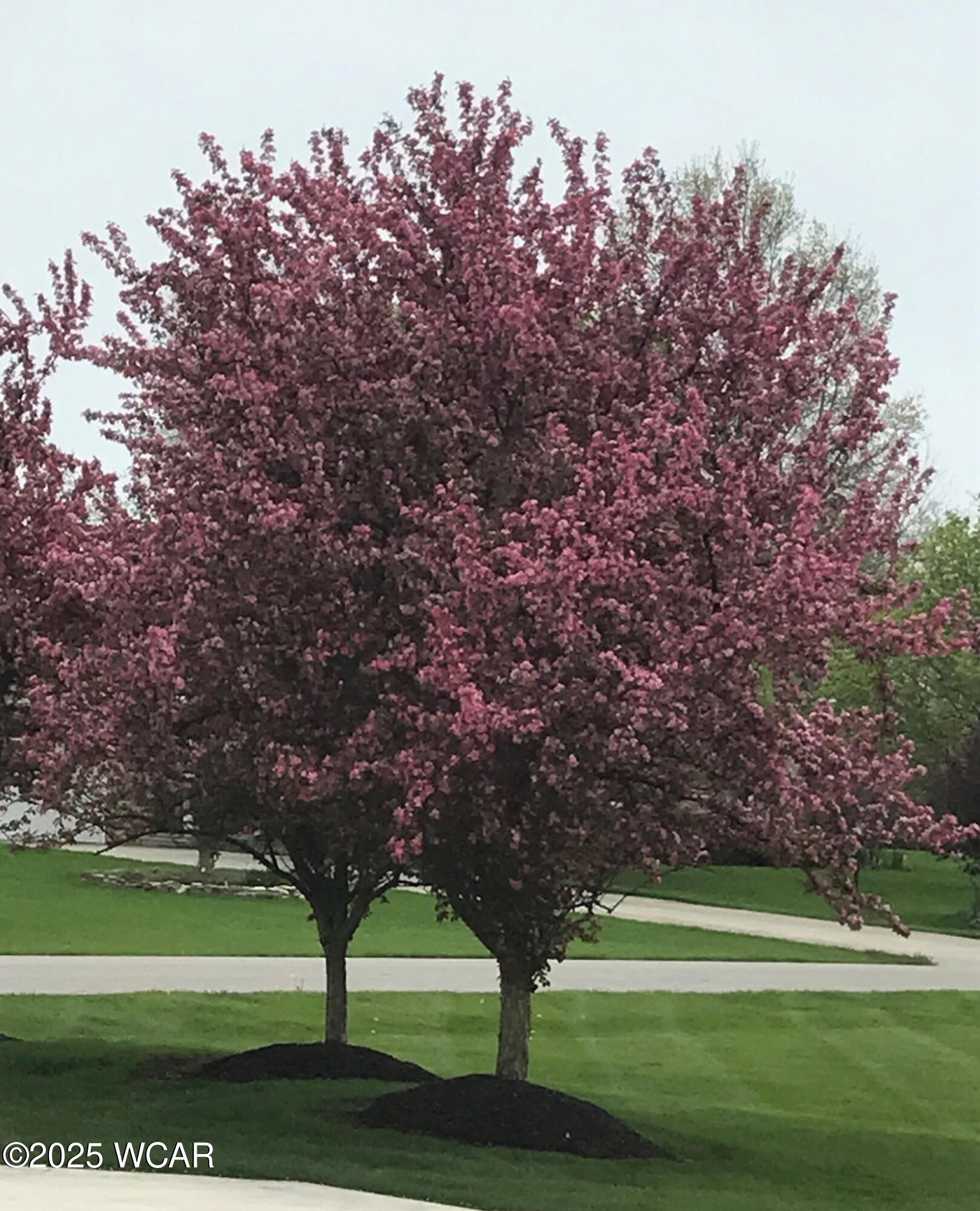 3744 Linfield Lane, Lima, Ohio