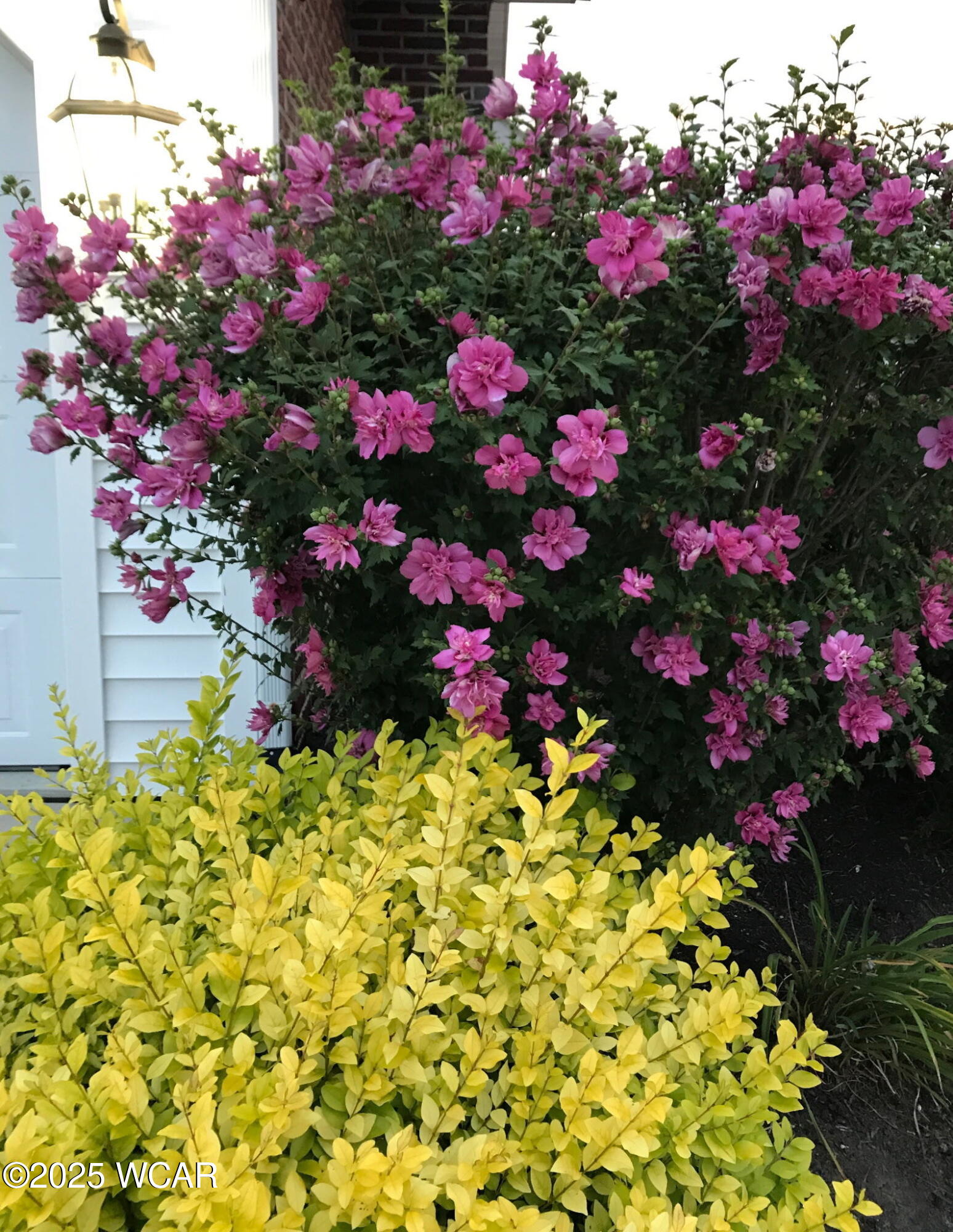 3744 Linfield Lane, Lima, Ohio