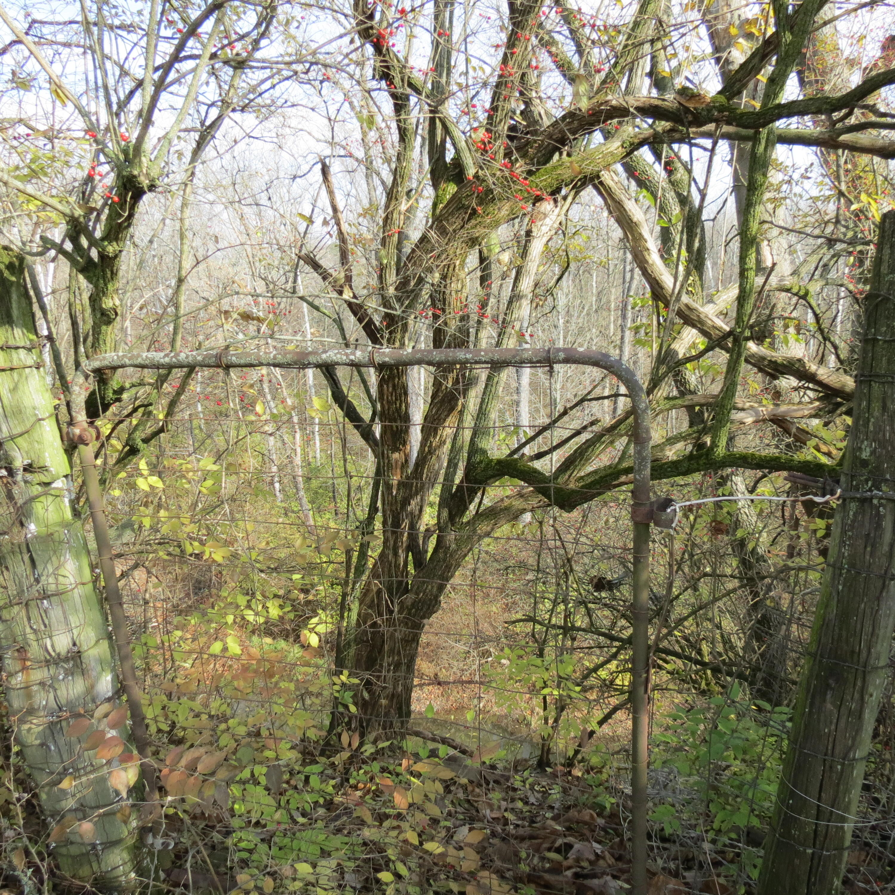 6100 State Route 29, Sidney, Ohio 45365