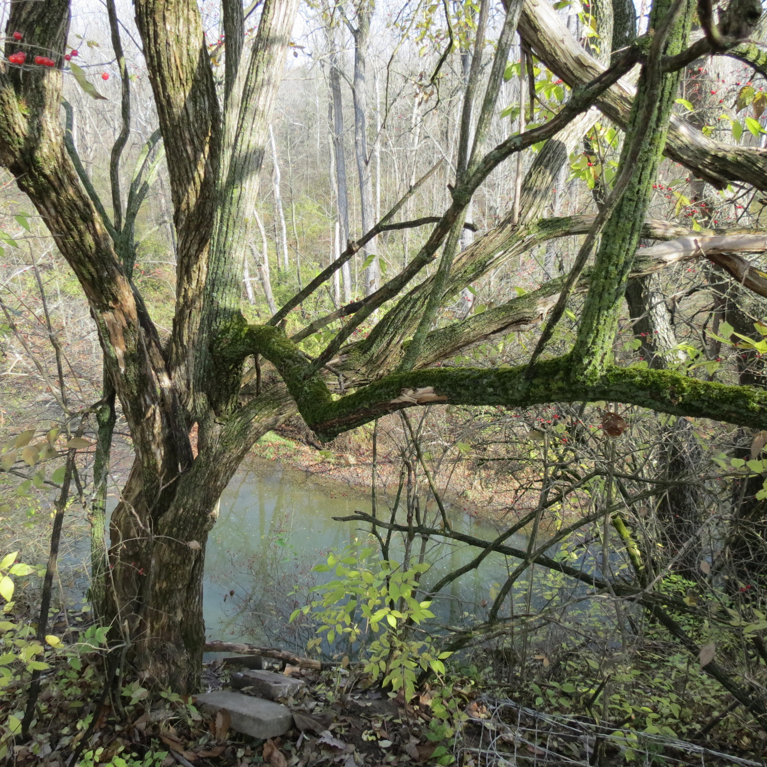 6100 State Route 29, Sidney, Ohio 45365