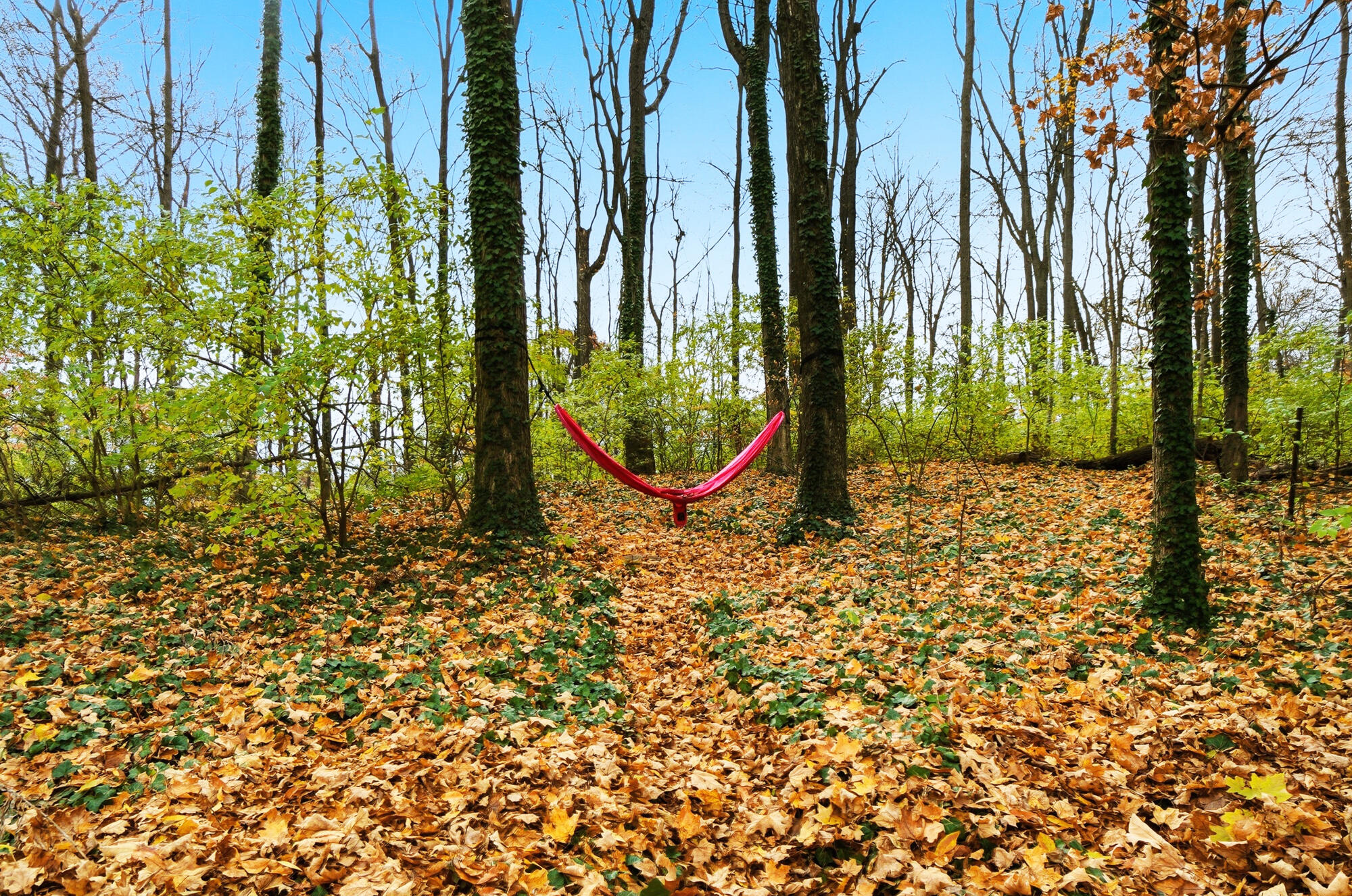 2919 Locust Drive, Springfield, Ohio 45504