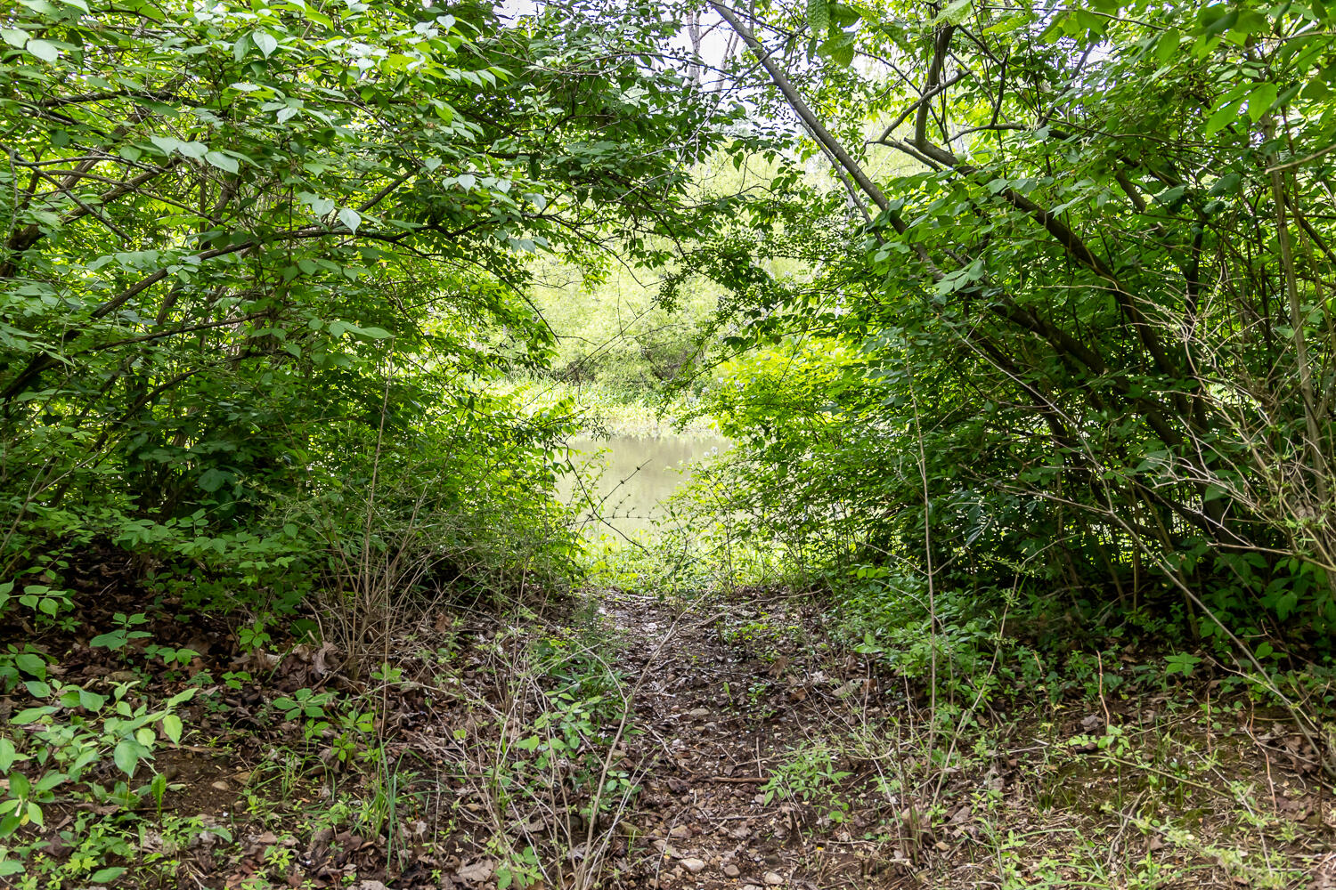 6350 Arcanum Bears Mill, Greenville, Ohio 45331