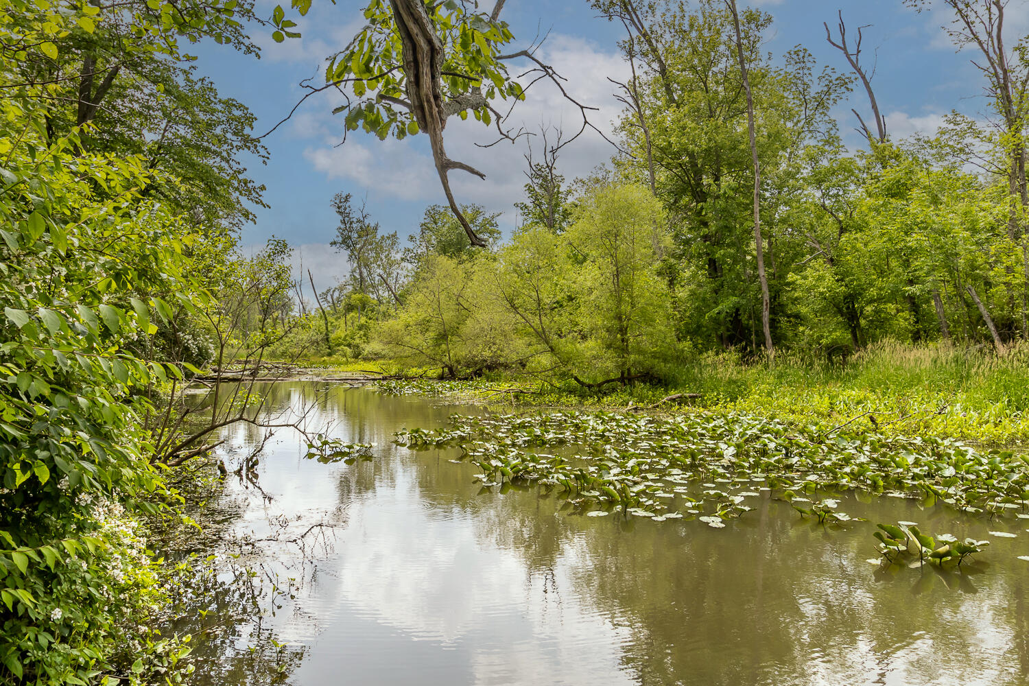 6350 Arcanum Bears Mill, Greenville, Ohio 45331