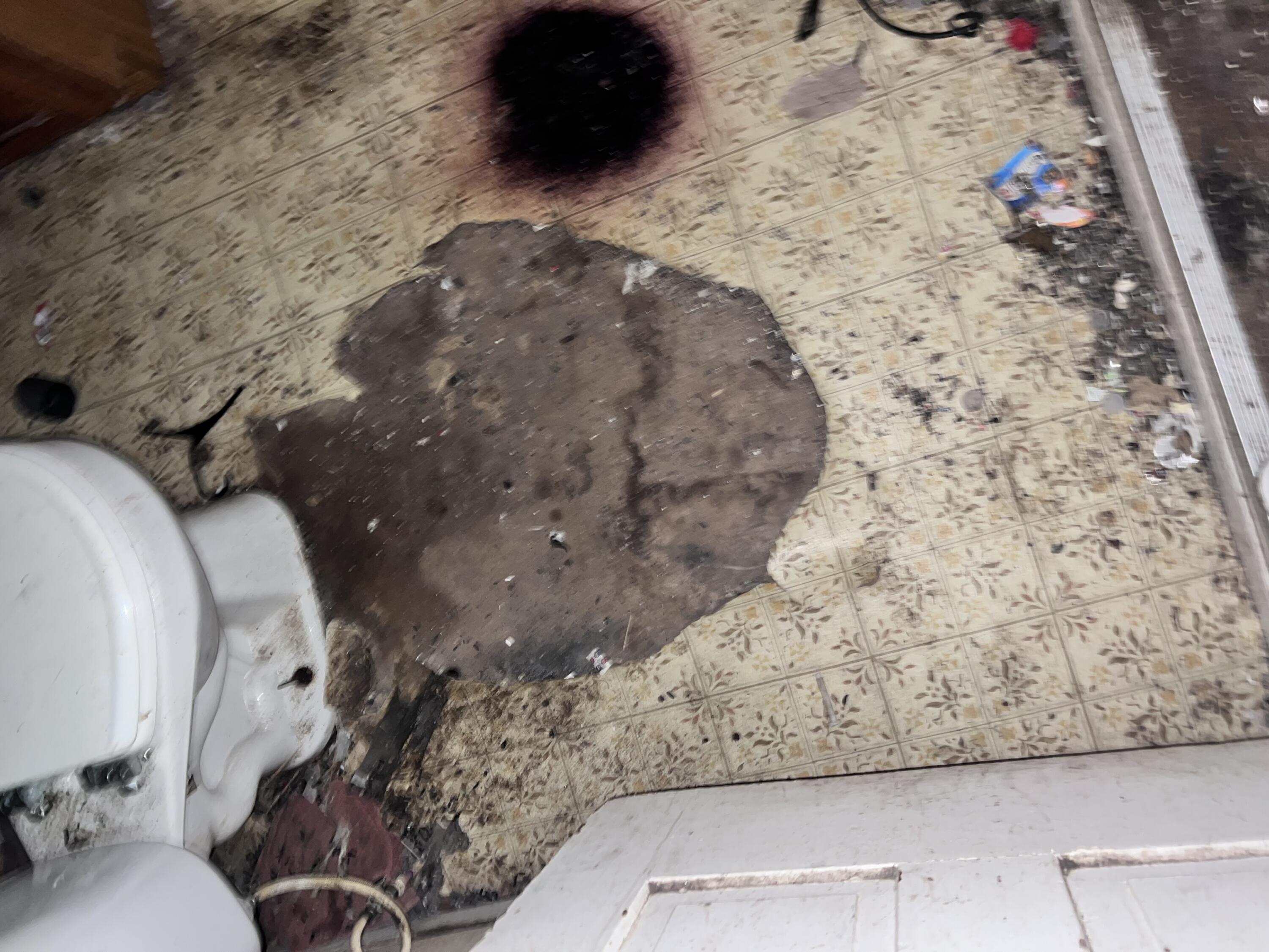 242 Chestnut Avenue, Springfield, Ohio 45503