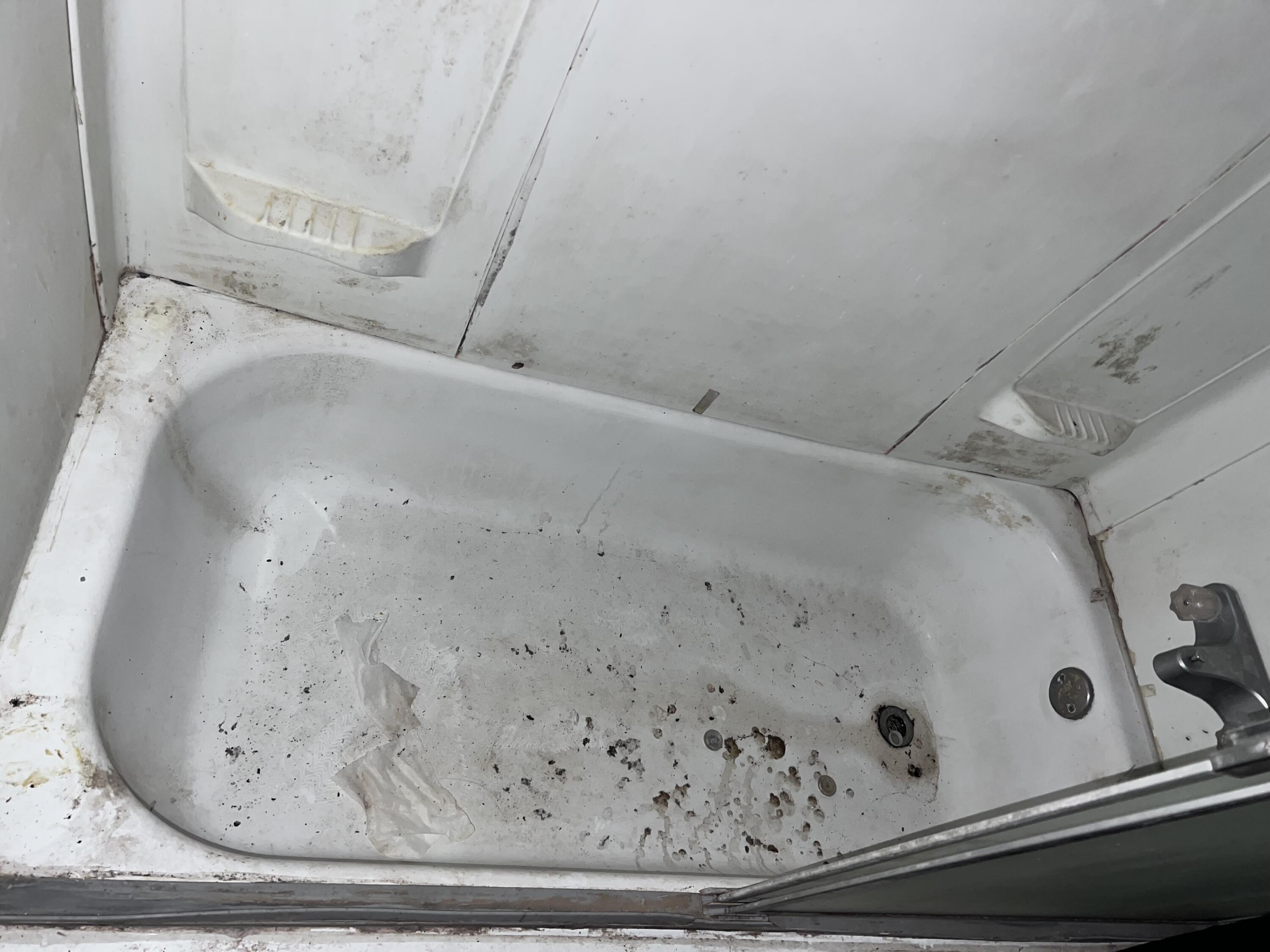 242 Chestnut Avenue, Springfield, Ohio 45503