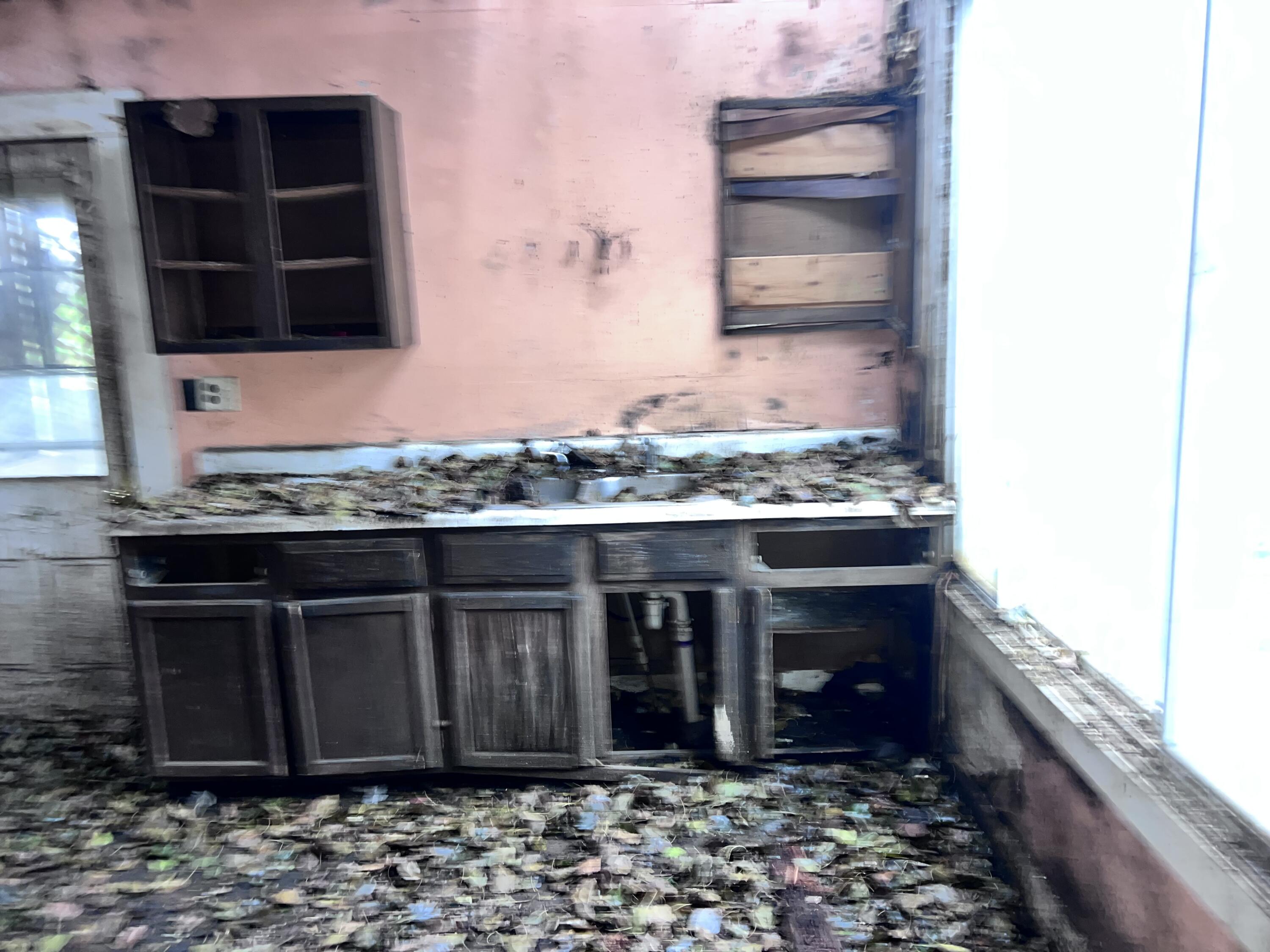 242 Chestnut Avenue, Springfield, Ohio 45503