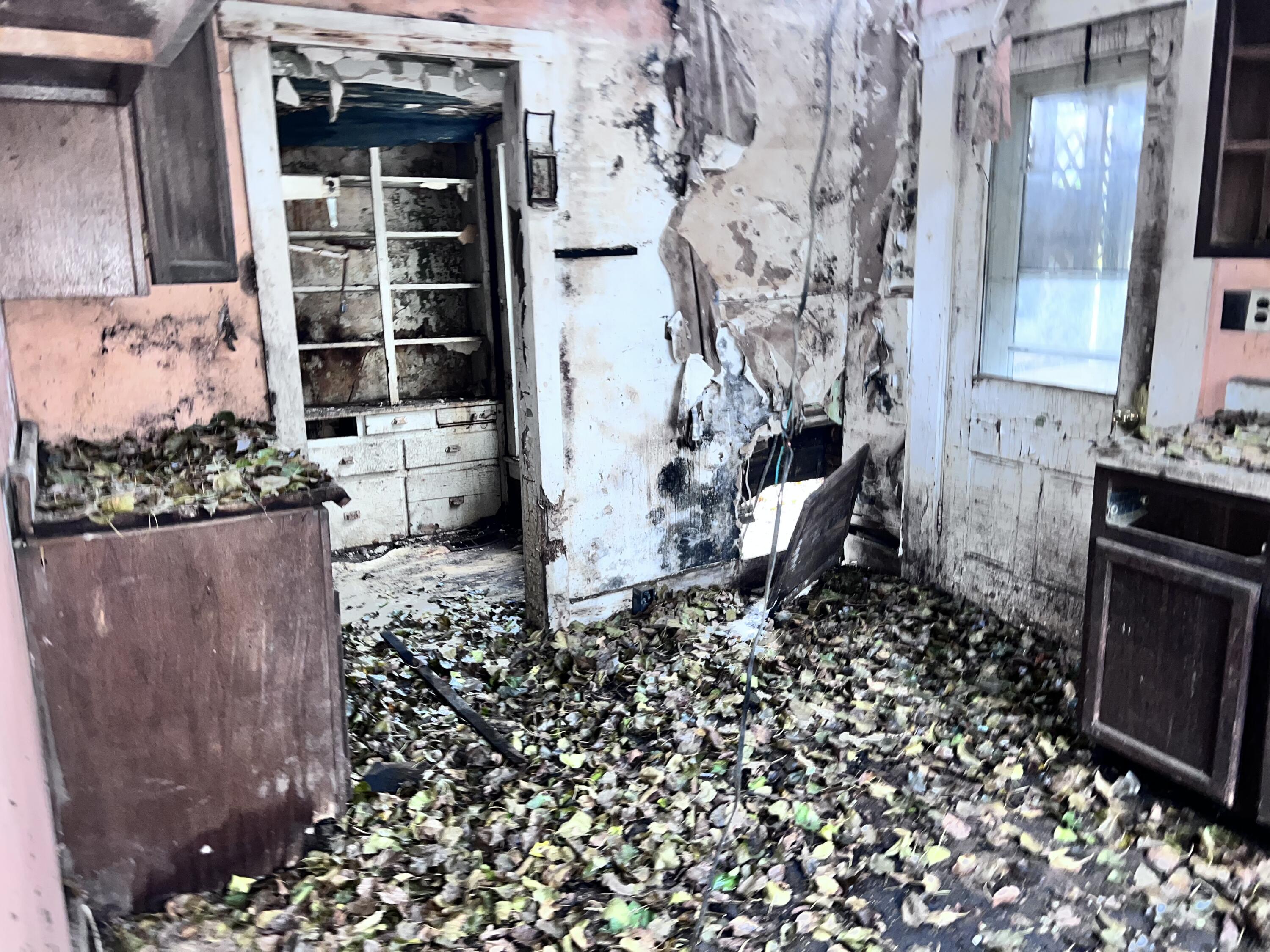 242 Chestnut Avenue, Springfield, Ohio 45503