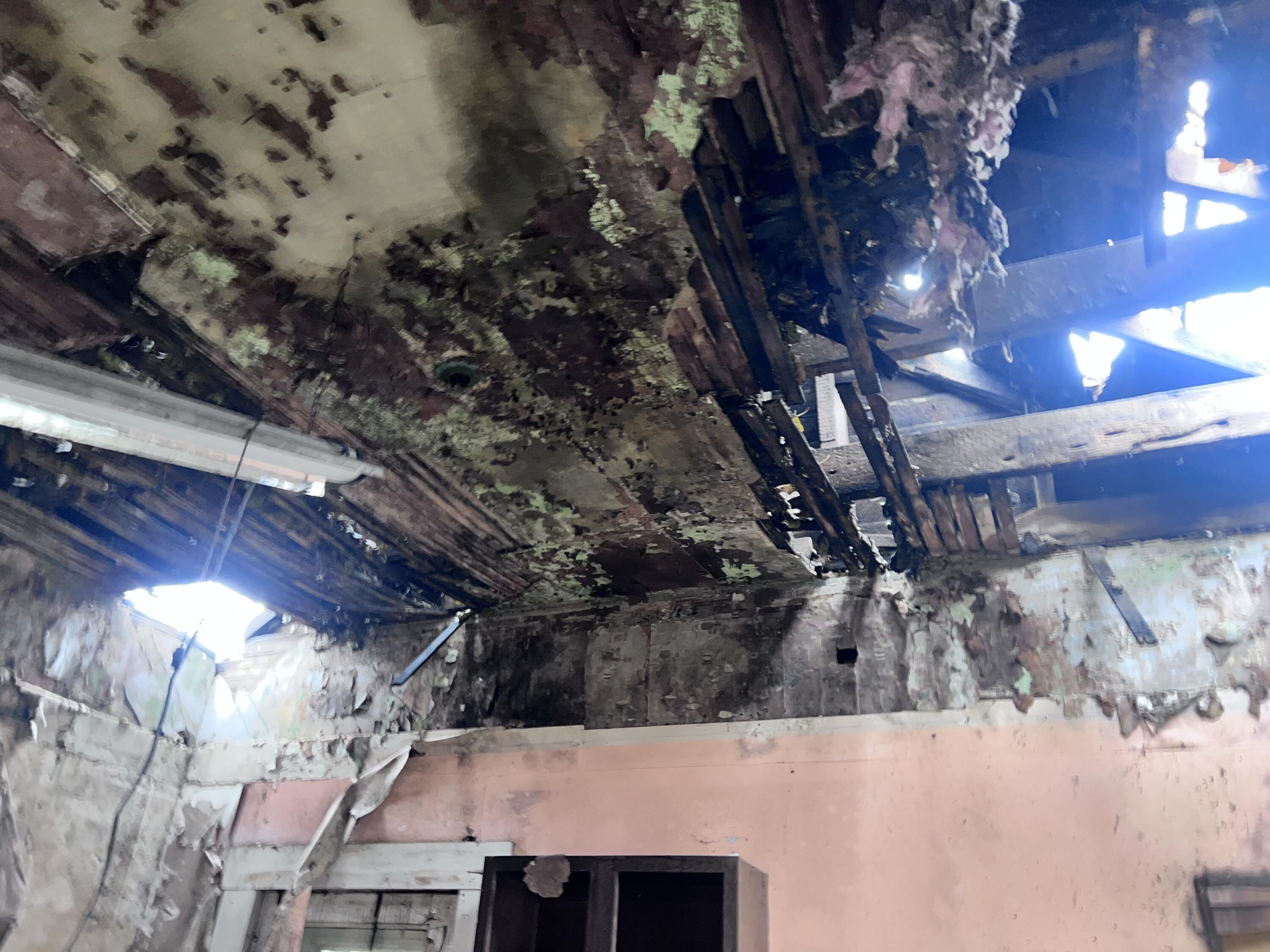 242 Chestnut Avenue, Springfield, Ohio 45503