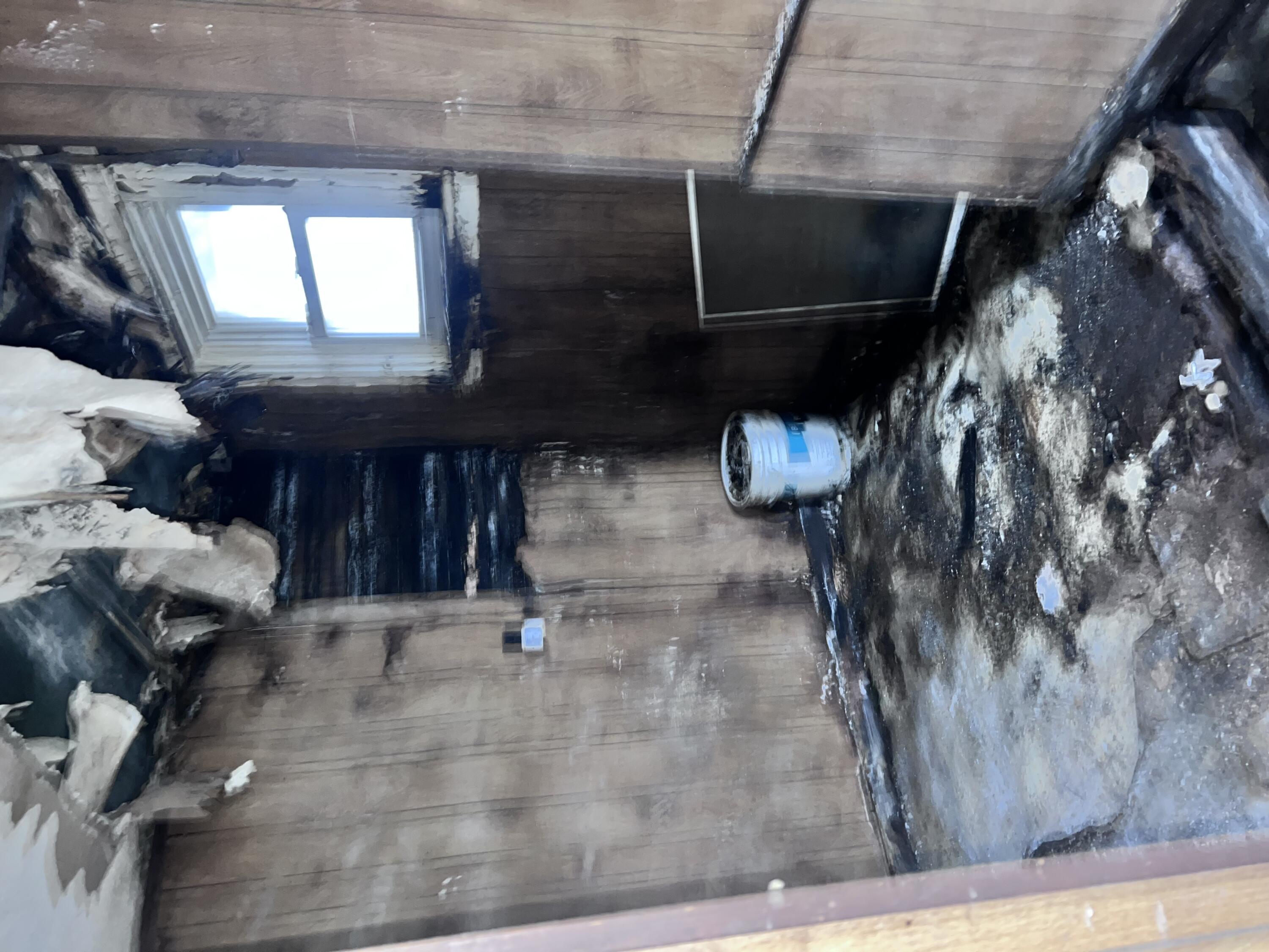 242 Chestnut Avenue, Springfield, Ohio 45503