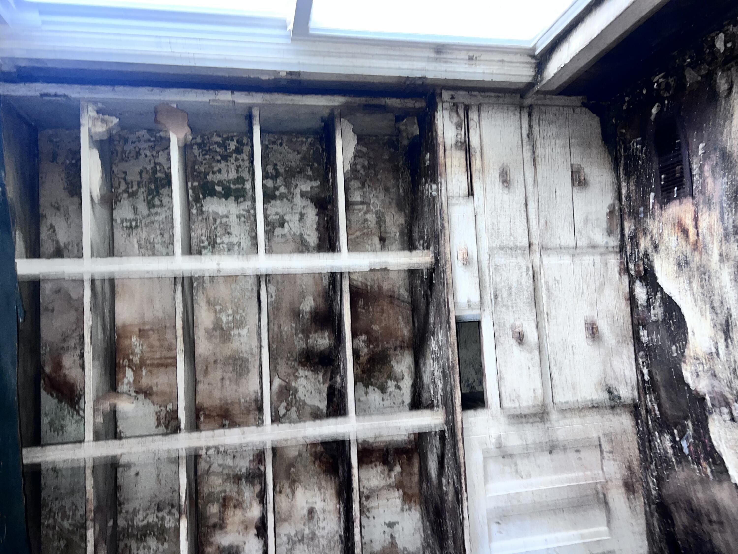 242 Chestnut Avenue, Springfield, Ohio 45503