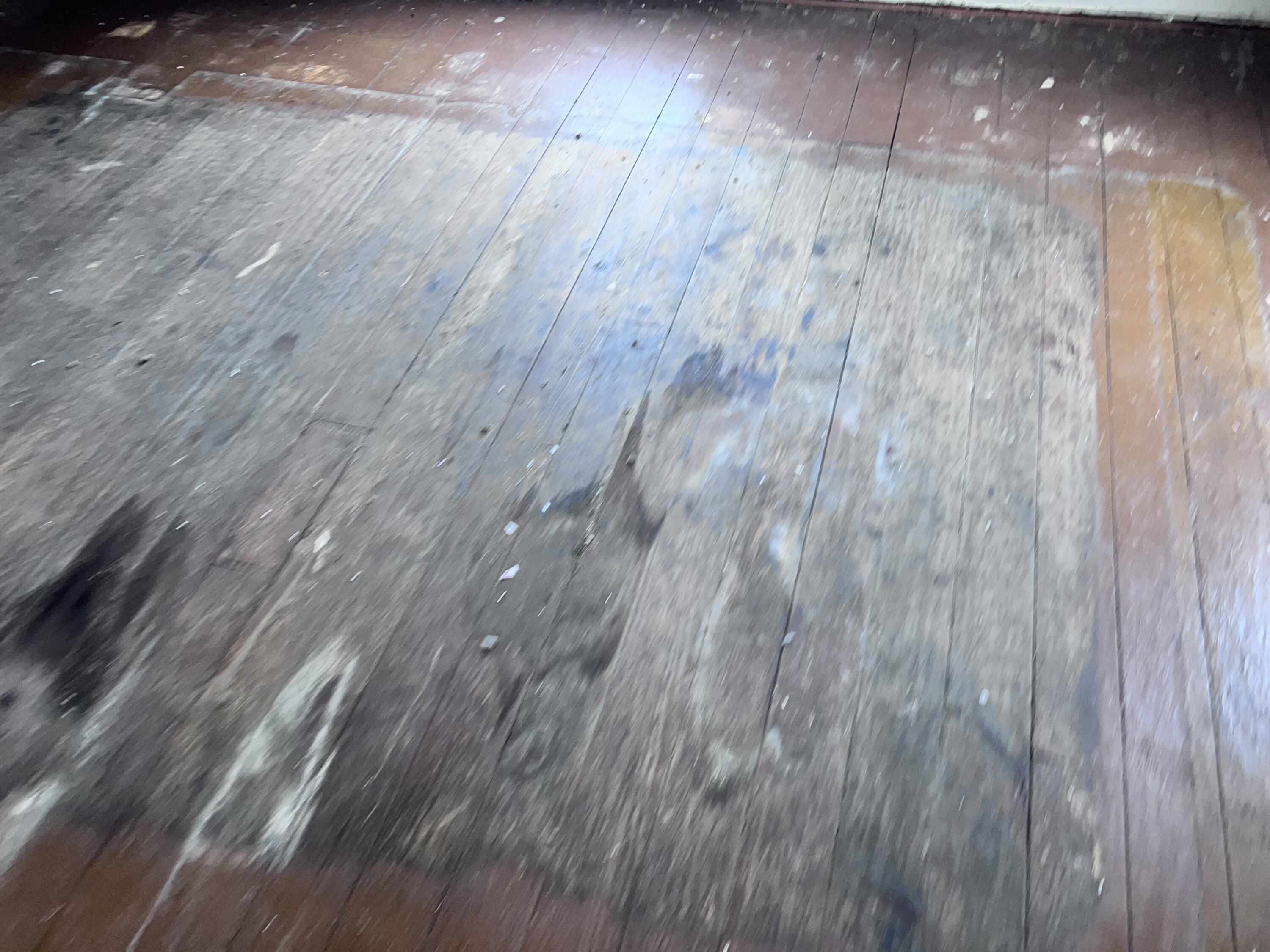 242 Chestnut Avenue, Springfield, Ohio 45503