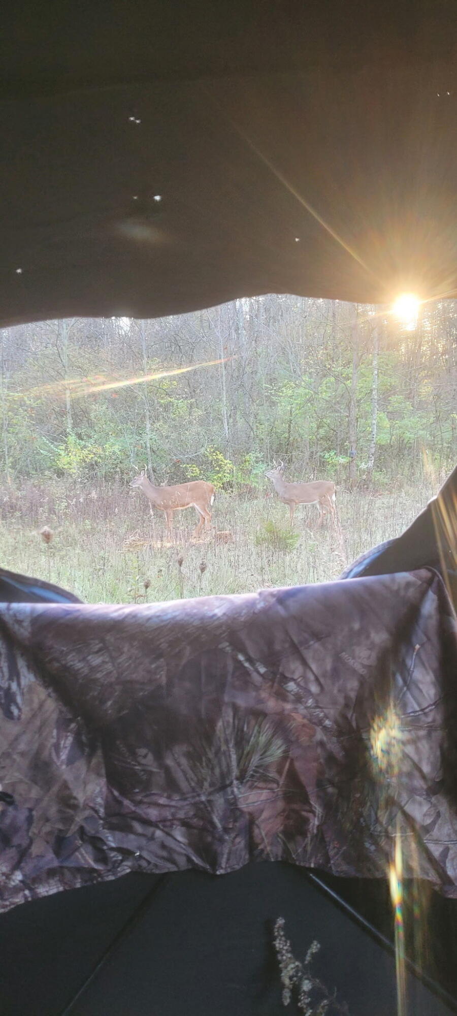 8676 Sidney Street, Saint Paris, Ohio 43072