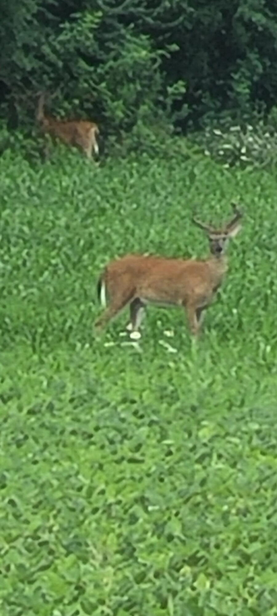 8676 Sidney Street, Saint Paris, Ohio 43072