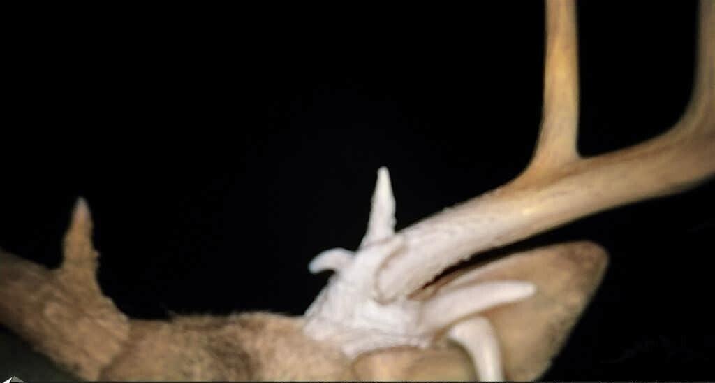 8676 Sidney Street, Saint Paris, Ohio 43072