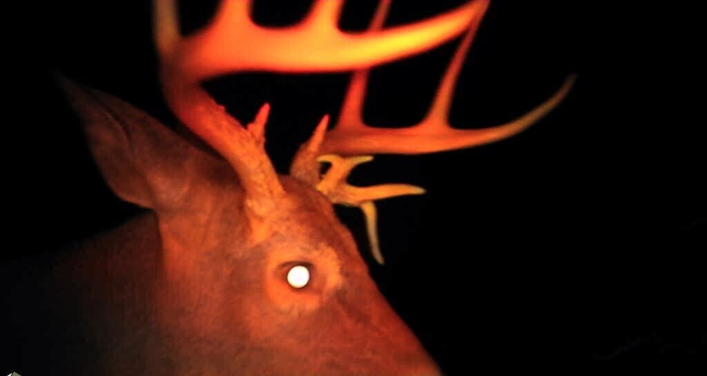 8676 Sidney Street, Saint Paris, Ohio 43072