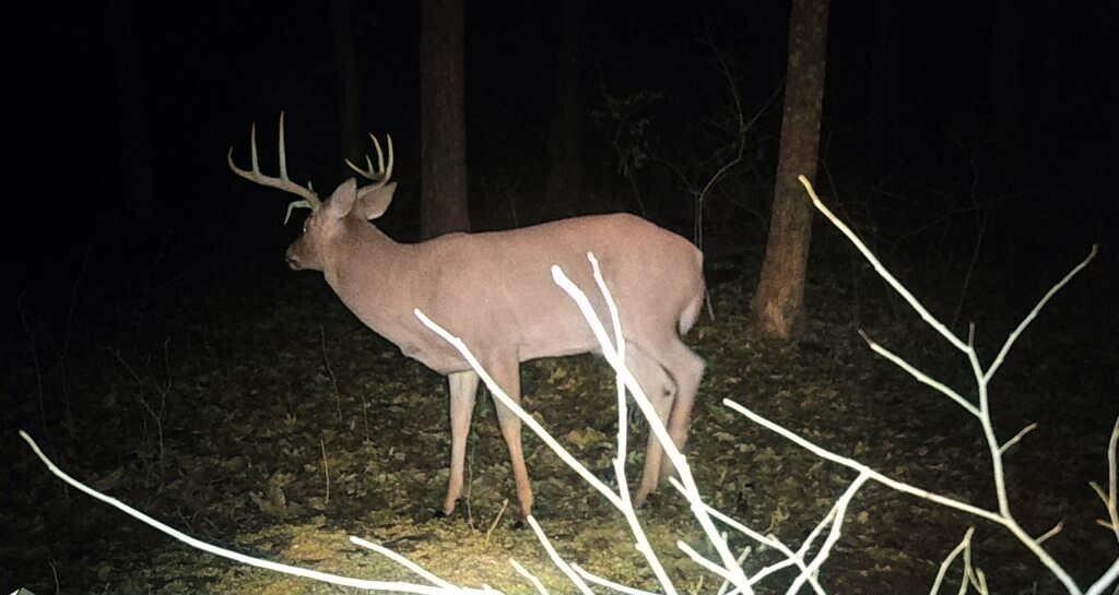 8676 Sidney Street, Saint Paris, Ohio 43072