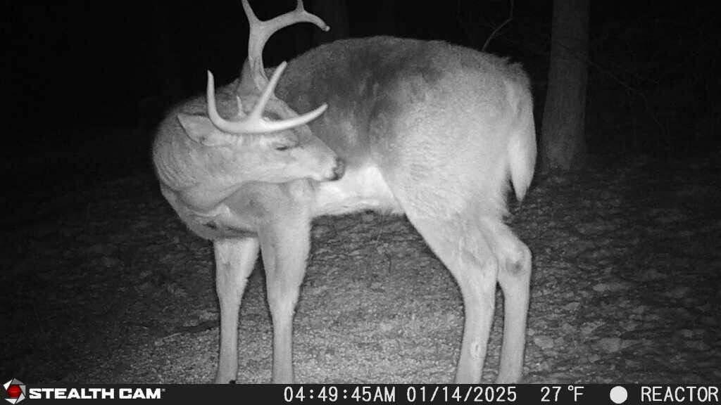 8676 Sidney Street, Saint Paris, Ohio 43072