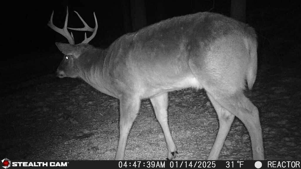 8676 Sidney Street, Saint Paris, Ohio 43072