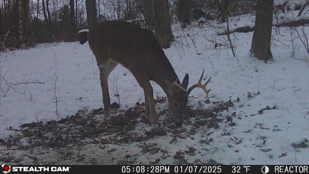 8676 Sidney Street, Saint Paris, Ohio 43072