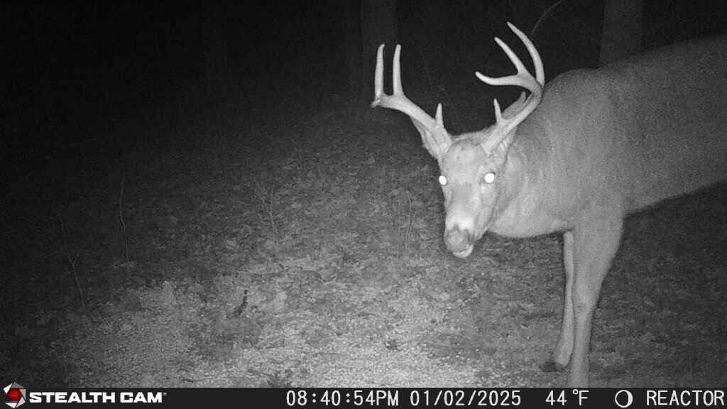 8676 Sidney Street, Saint Paris, Ohio 43072