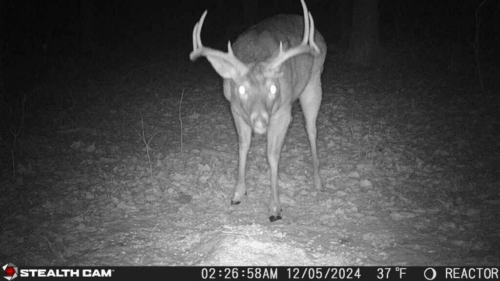 8676 Sidney Street, Saint Paris, Ohio 43072