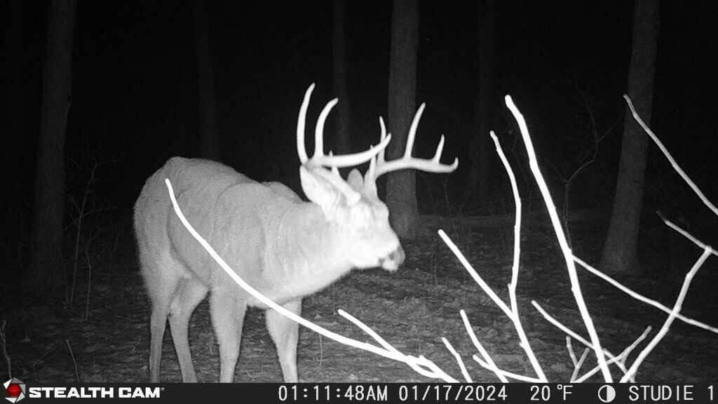 8676 Sidney Street, Saint Paris, Ohio 43072