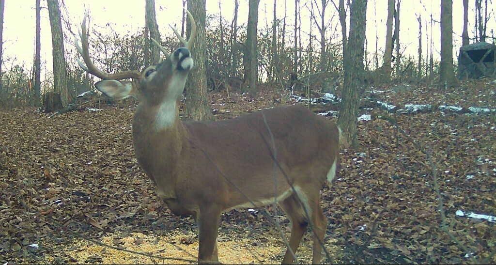 8676 Sidney Street, Saint Paris, Ohio 43072