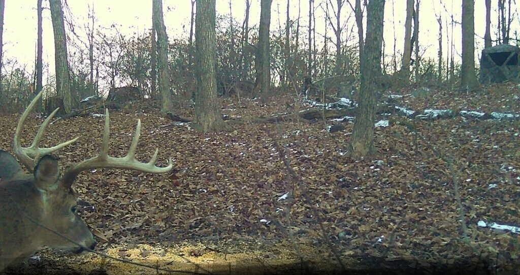 8676 Sidney Street, Saint Paris, Ohio 43072