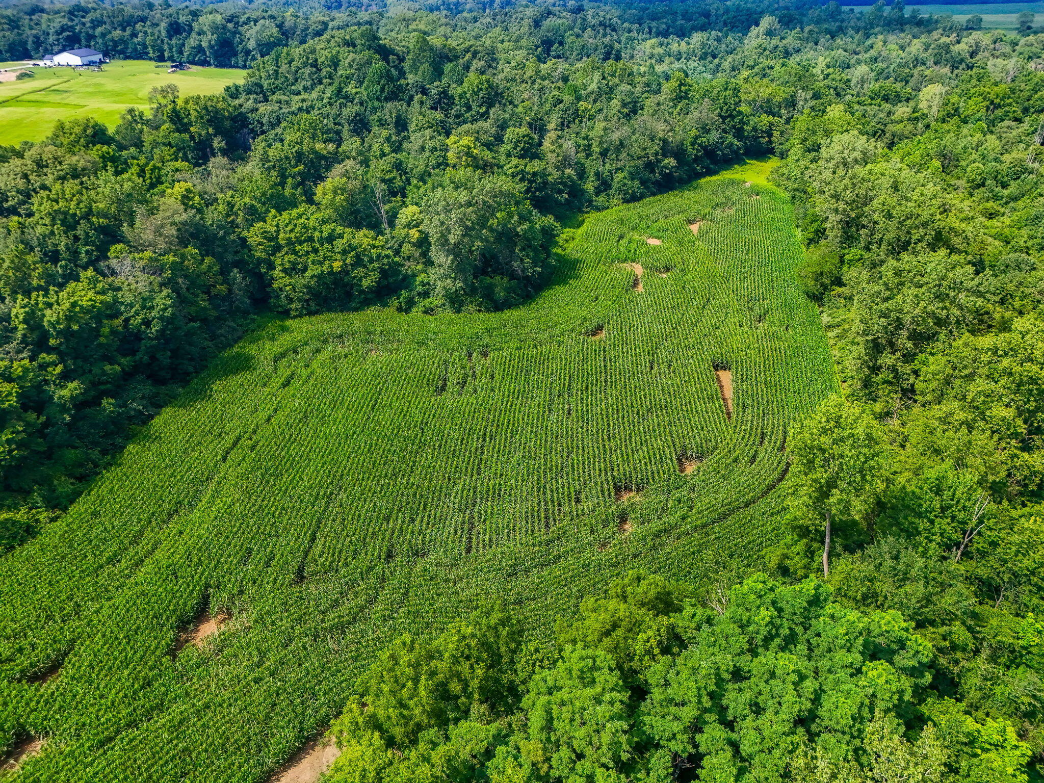 8676 Sidney Street, Saint Paris, Ohio 43072