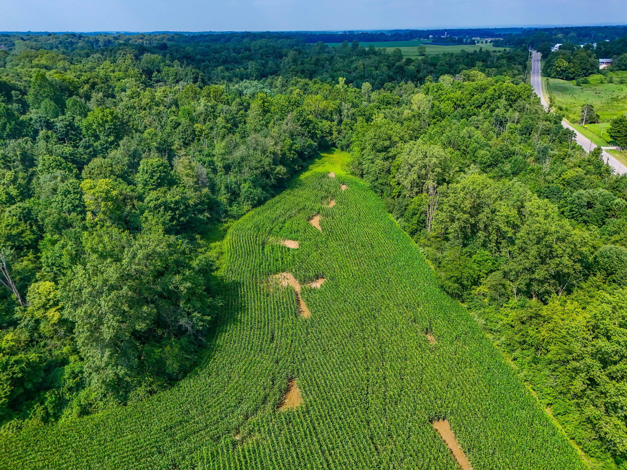 8676 Sidney Street, Saint Paris, Ohio 43072