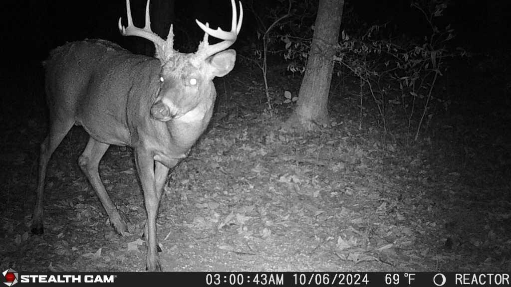 8676 Sidney Street, Saint Paris, Ohio 43072