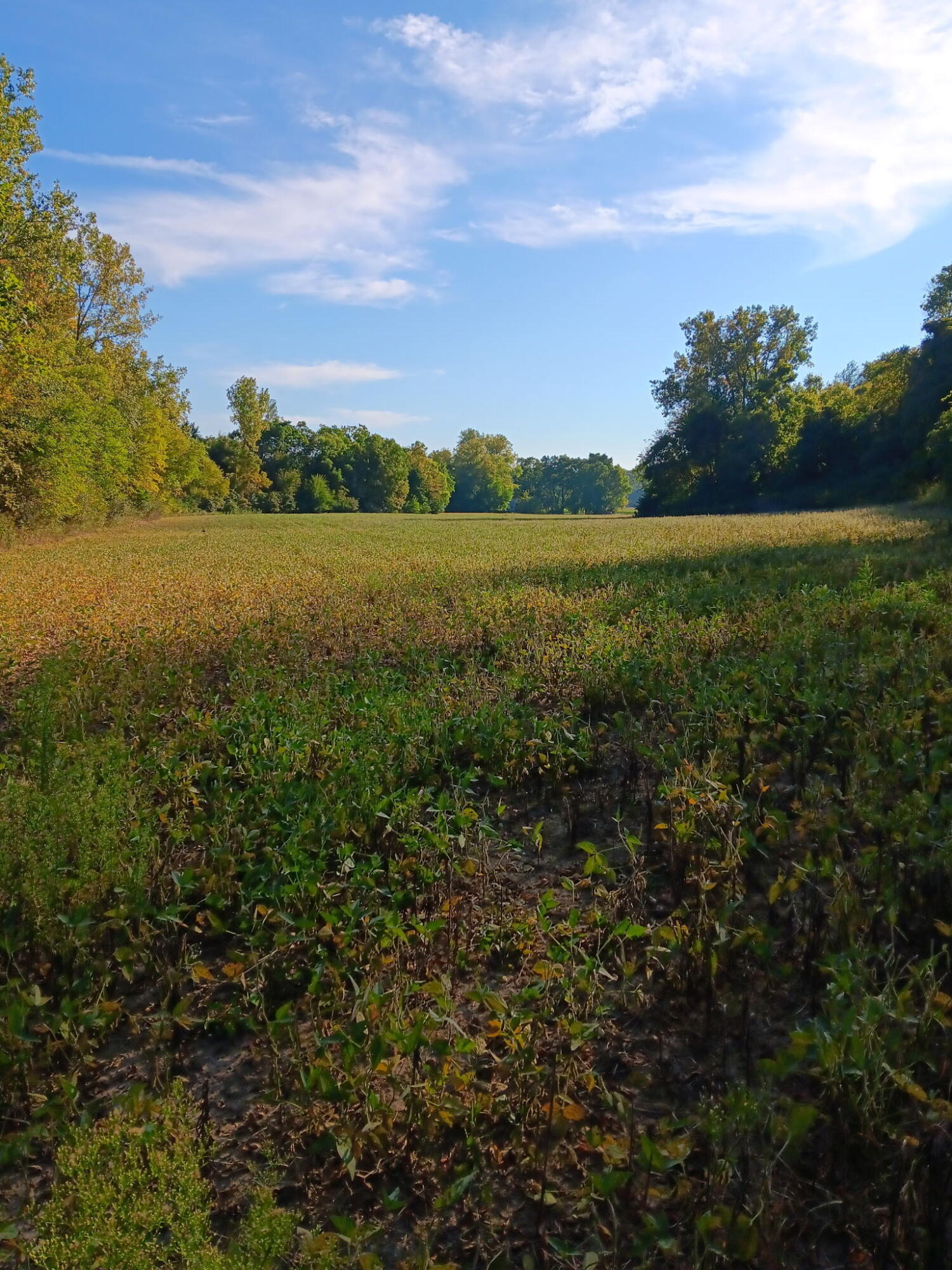 8676 Sidney Street, Saint Paris, Ohio 43072