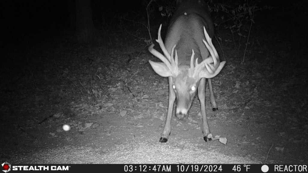 8676 Sidney Street, Saint Paris, Ohio 43072