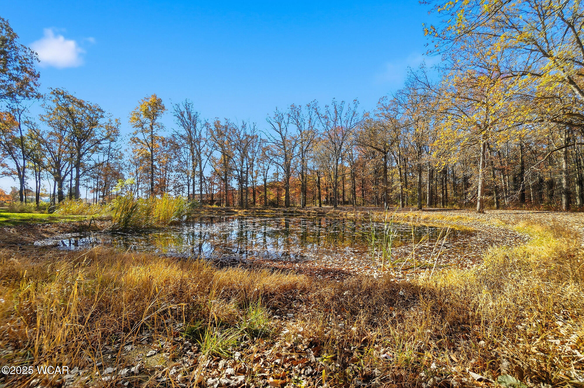 11785 Rd 171, Paulding, Ohio