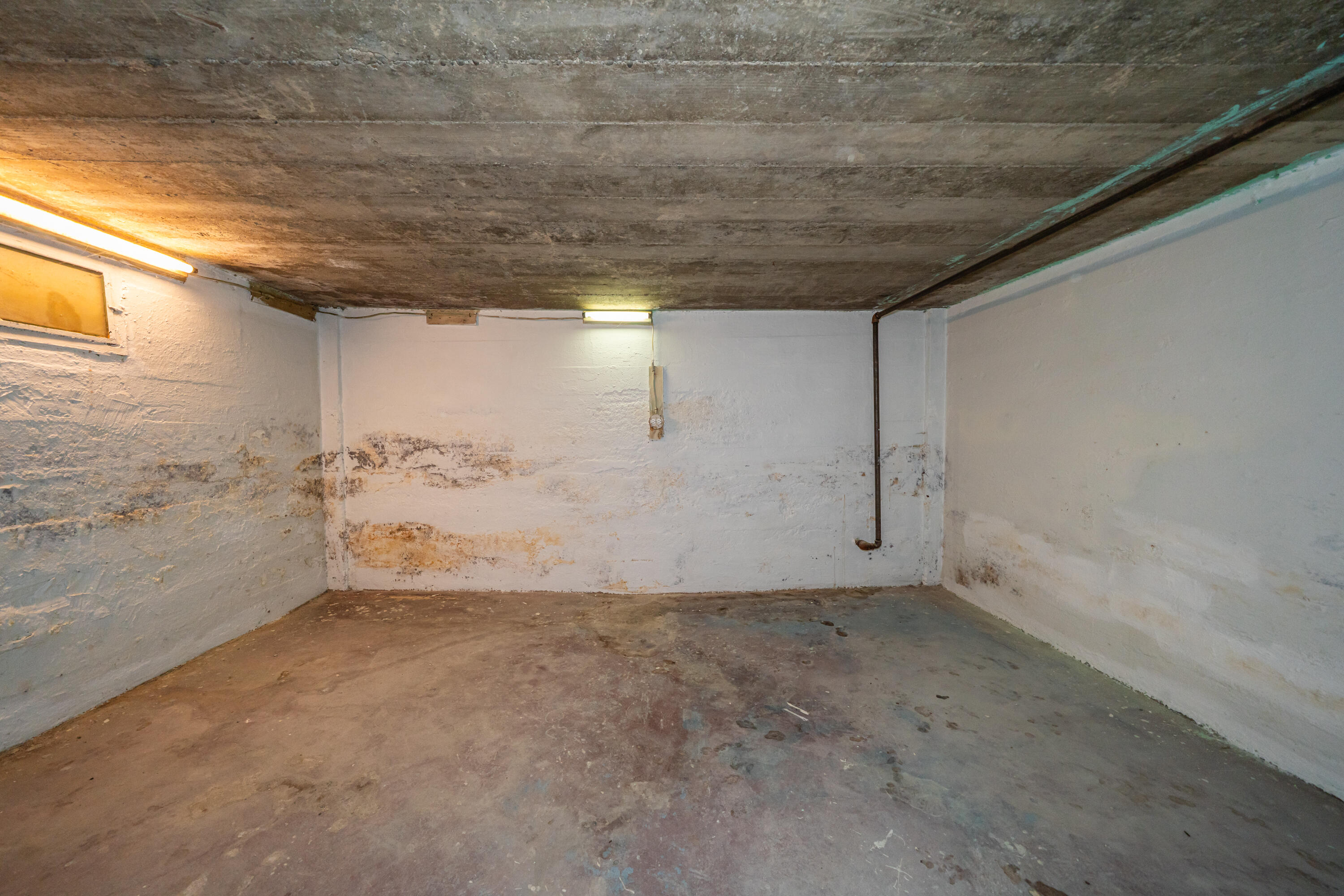 1221 Arbor Avenue, Dayton, Ohio 45420