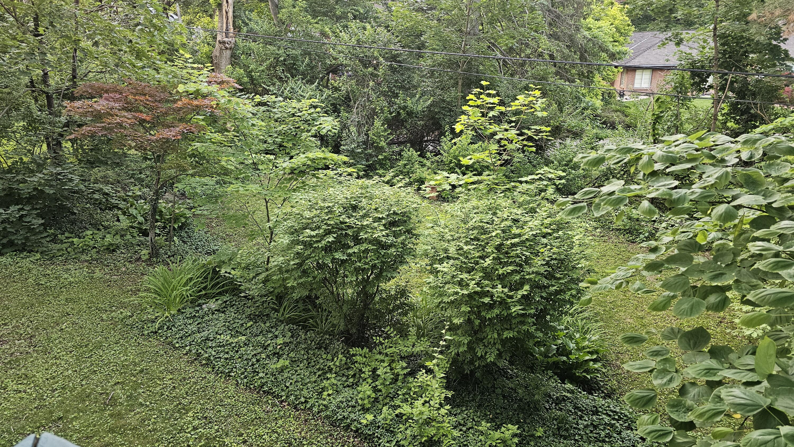 633 Ridgedale Road, Dayton, Ohio 45406