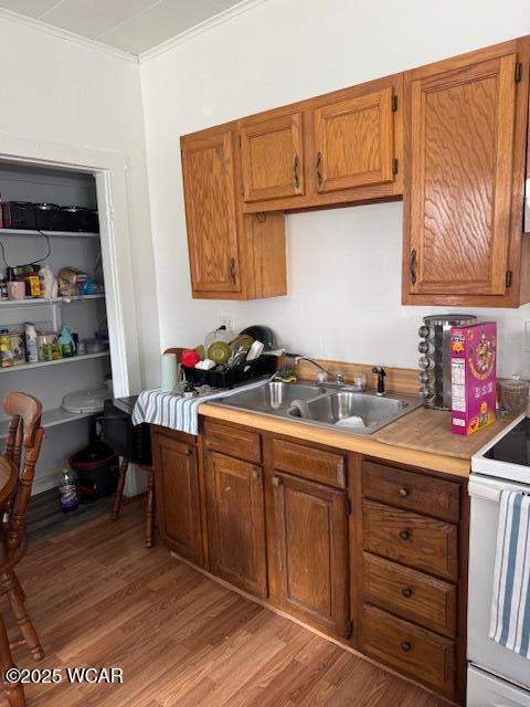 702 W Franklin Street, Kenton, Ohio