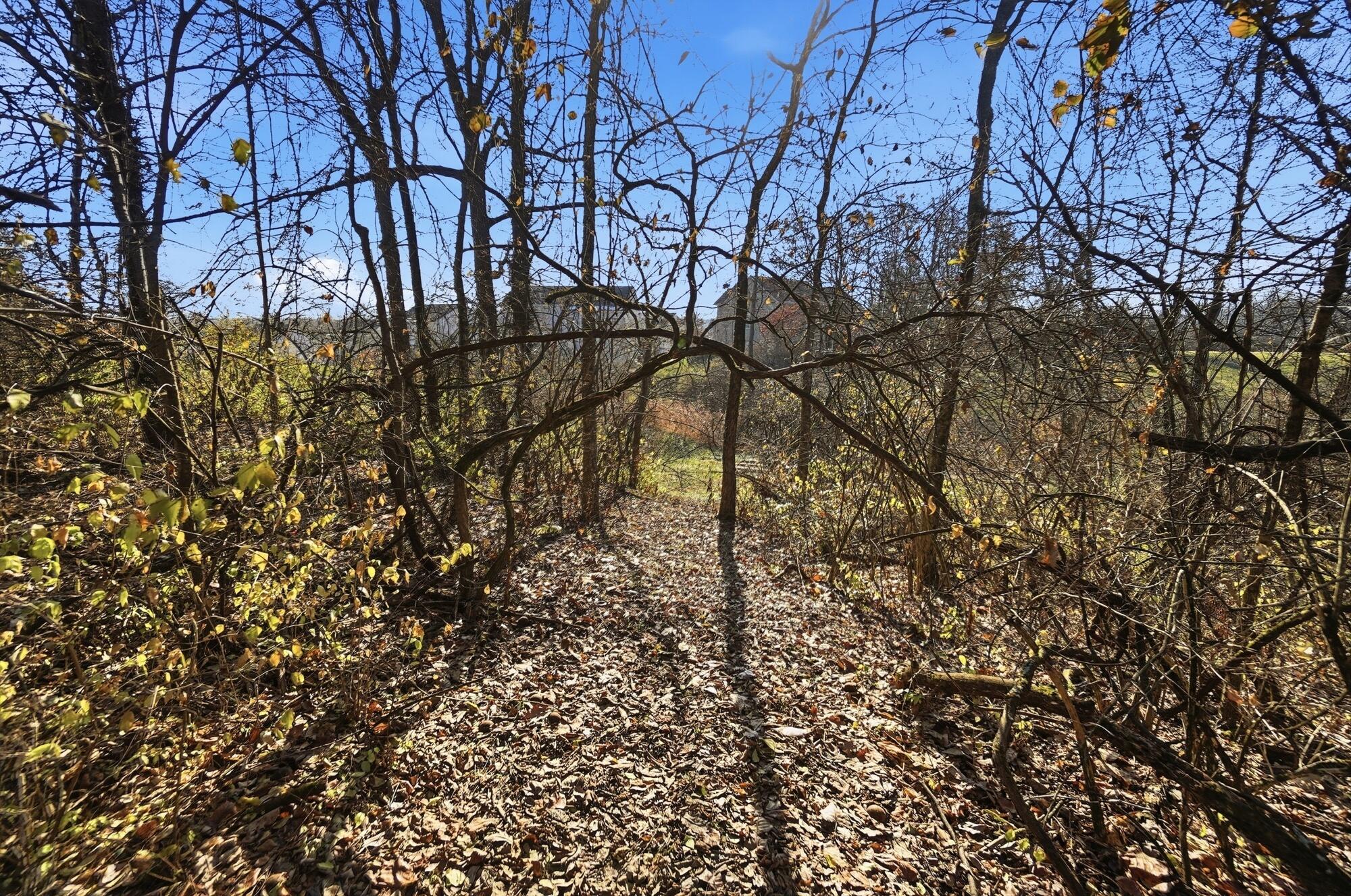 7891 Celestial Circle, Liberty Township, Ohio 45044