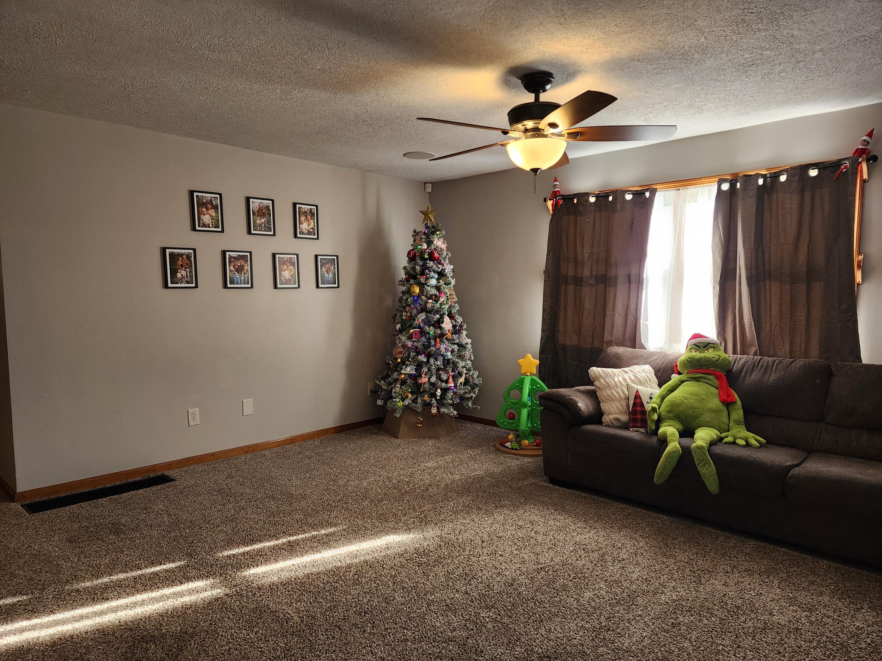 244 Miller Street, West Liberty, Ohio 43357