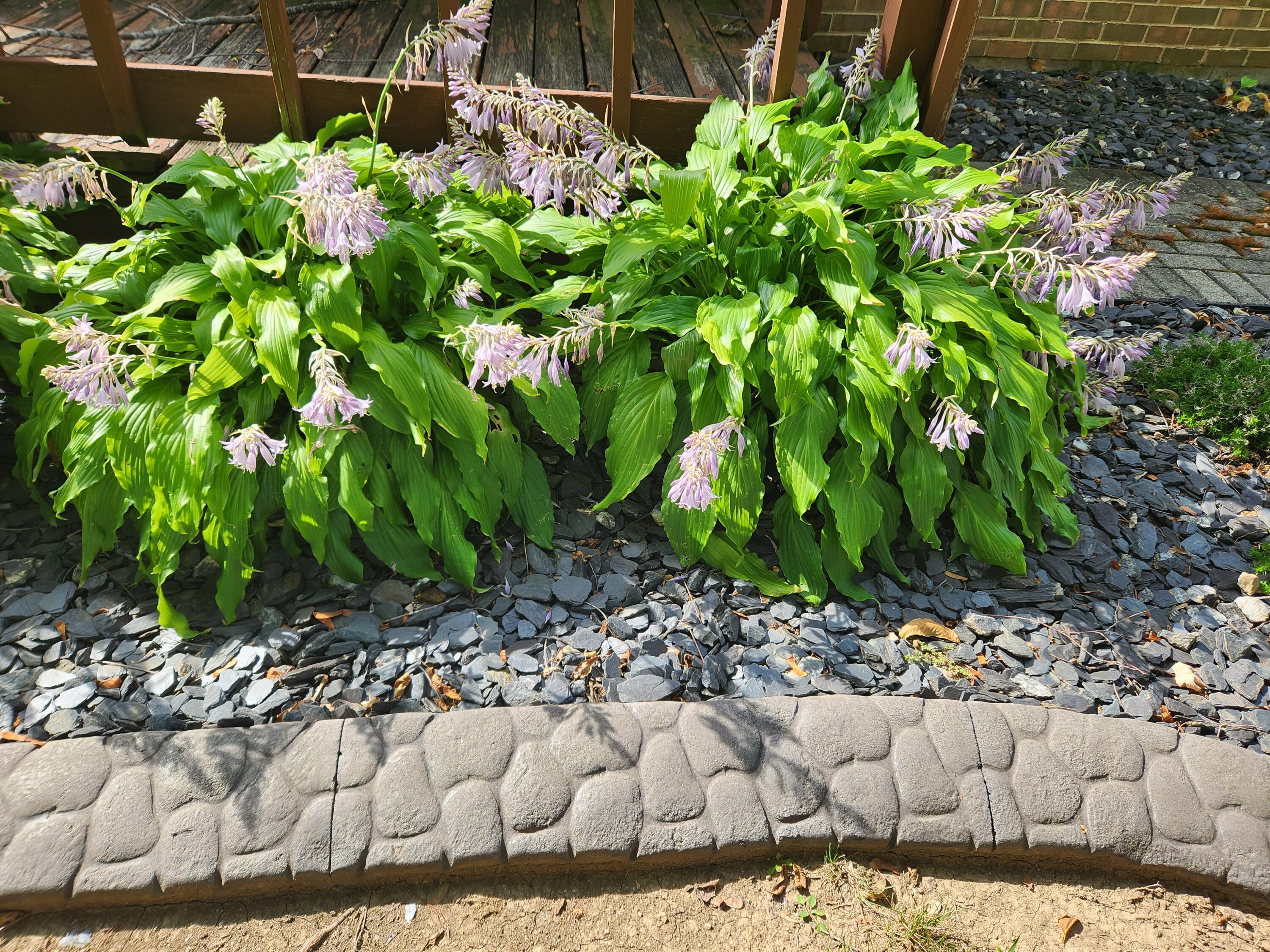 106 Spring Street, New Knoxville, Ohio 45871