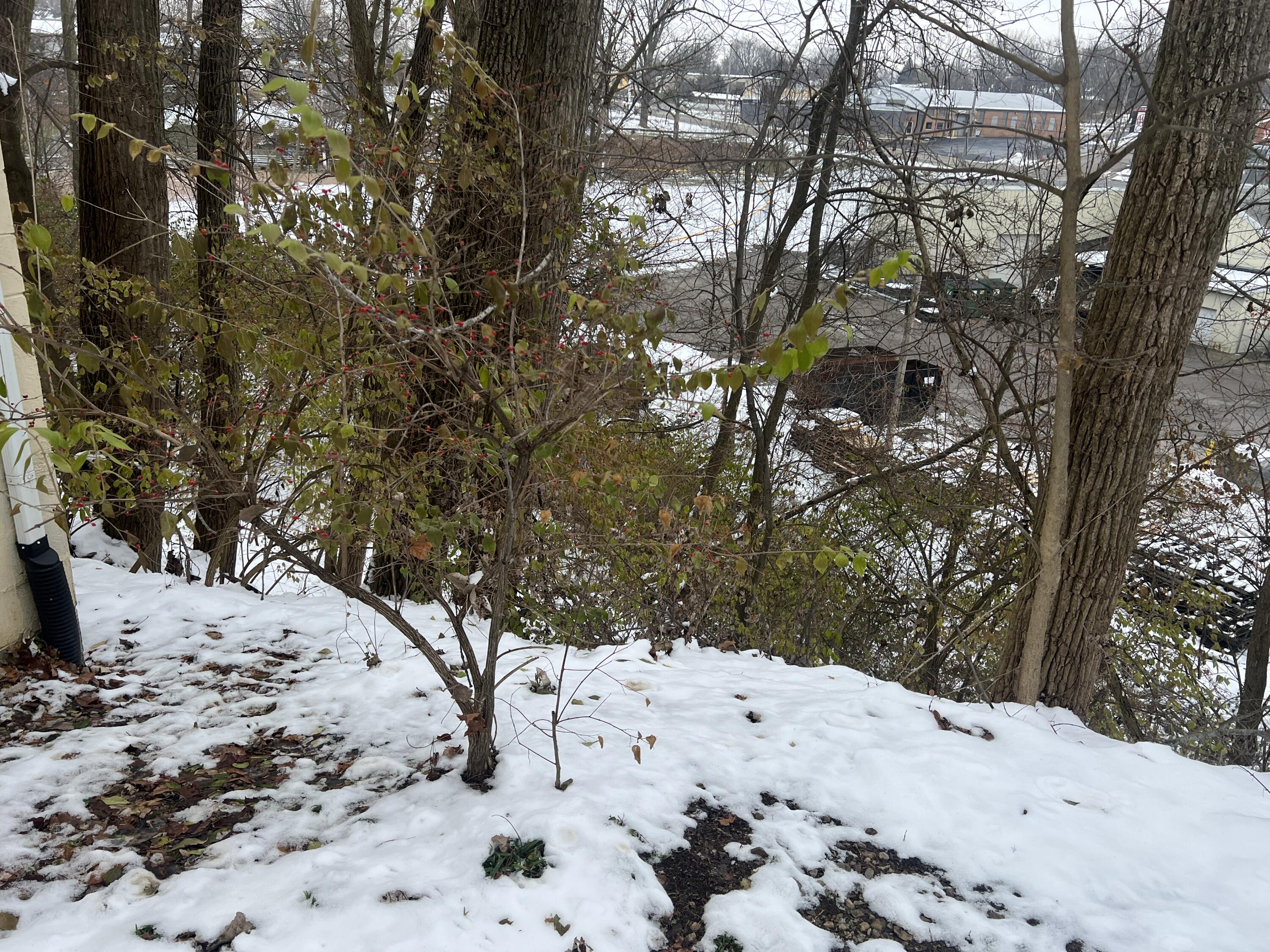 834 West Avenue, Sidney, Ohio 45365