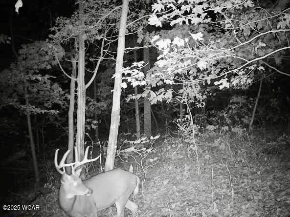 32120 Fout Road, Londonderry, Ohio