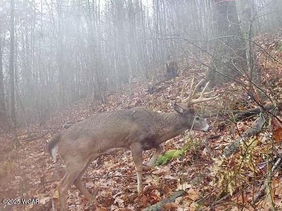 32120 Fout Road, Londonderry, Ohio