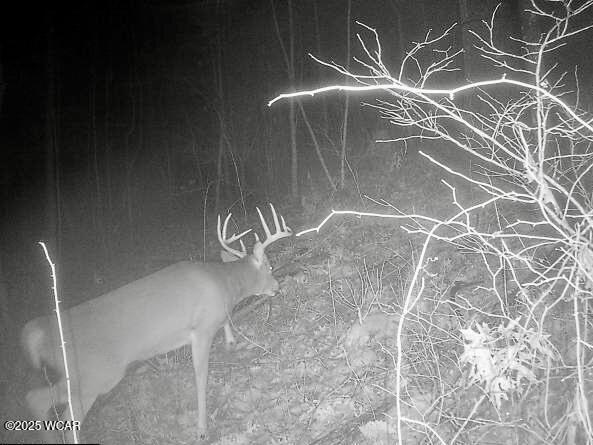 32120 Fout Road, Londonderry, Ohio