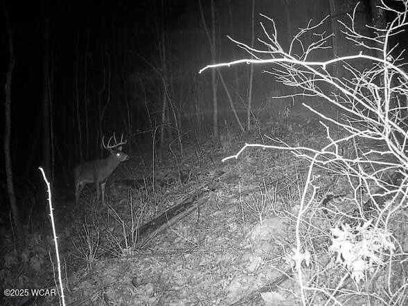 32120 Fout Road, Londonderry, Ohio