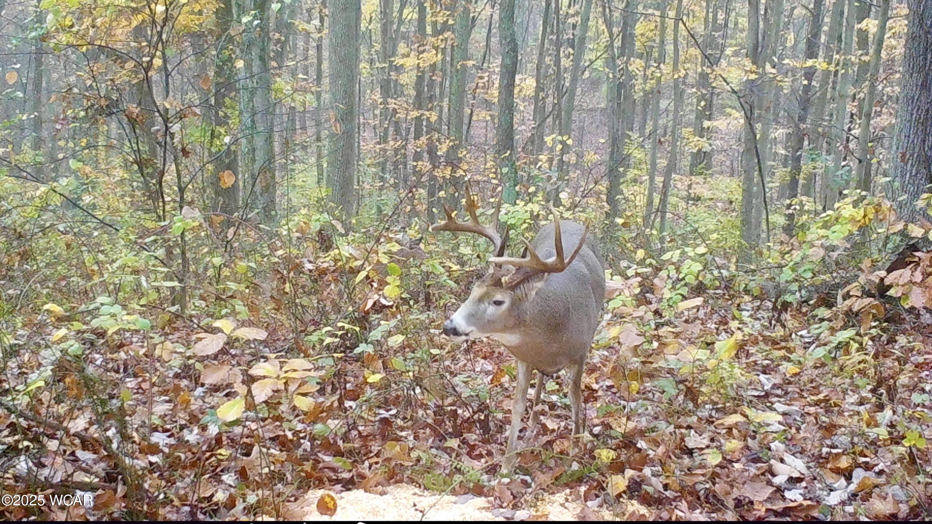 32120 Fout Road, Londonderry, Ohio